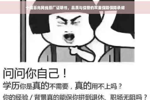 十堰百兆网线原厂证明书，品质与信誉的双重保障保障承诺