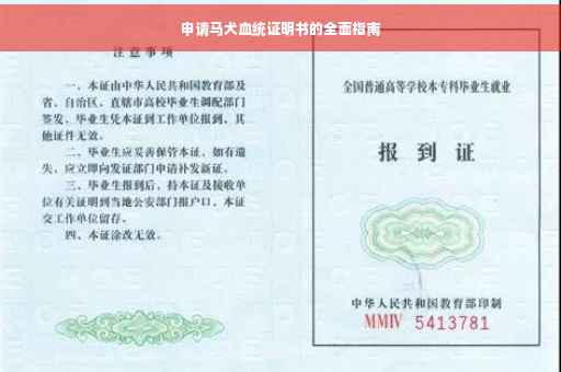 申请马犬血统证明书的全面指南