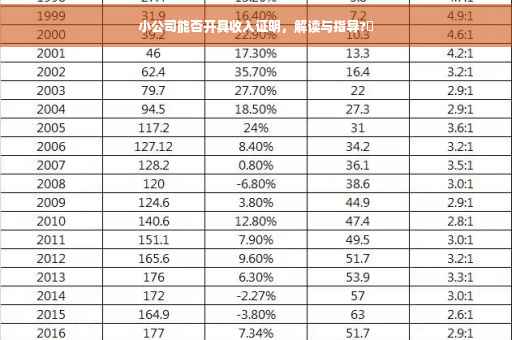 小公司能否开具收入证明，解读与指导?✨