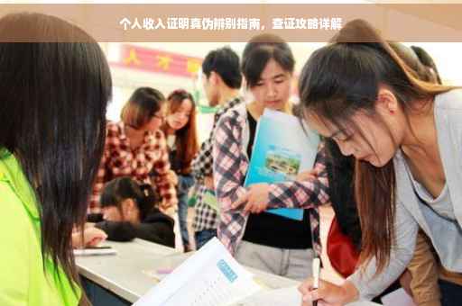 个人收入证明真伪辨别指南，查证攻略详解