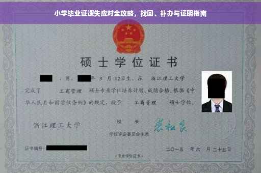 小学毕业证遗失应对全攻略，找回、补办与证明指南