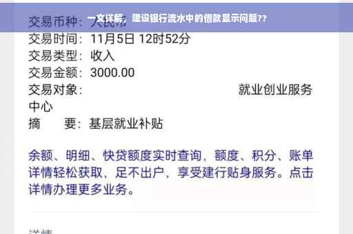 一文详解，建设银行流水中的借款显示问题??