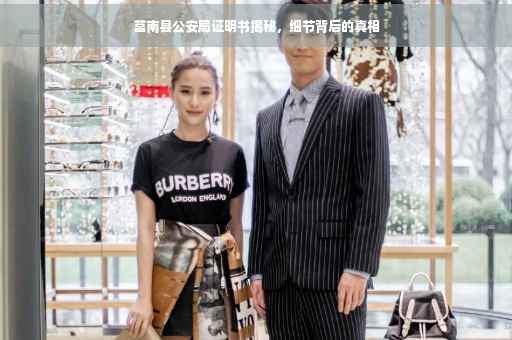 莒南县公安局证明书揭秘，细节背后的真相