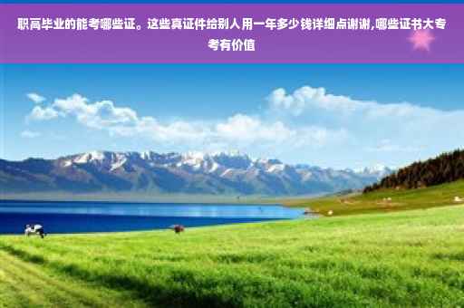 职高毕业的能考哪些证。这些真证件给别人用一年多少钱详细点谢谢,哪些证书大专考有价值