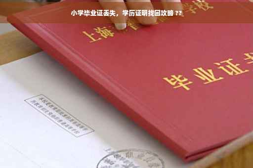 小学毕业证丢失，学历证明找回攻略 ??