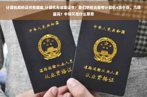 计算机类的证书有哪些,计算机有哪些证书？我们学校说要考计算机4级中级。几级最高？中级又是什么意思