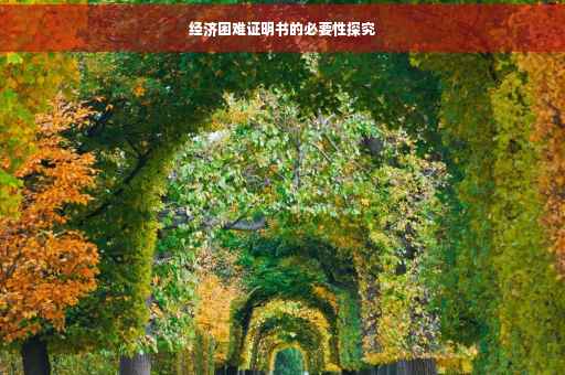 经济困难证明书的必要性探究