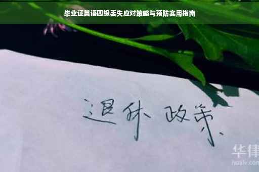 毕业证英语四级丢失应对策略与预防实用指南