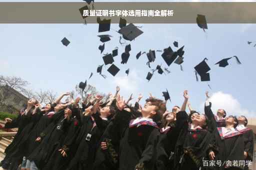 质量证明书字体选用指南全解析