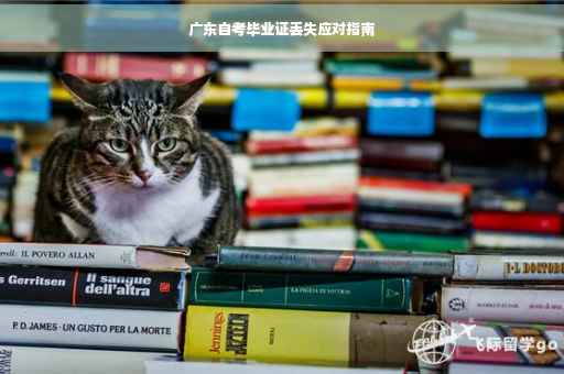 广东自考毕业证丢失应对指南