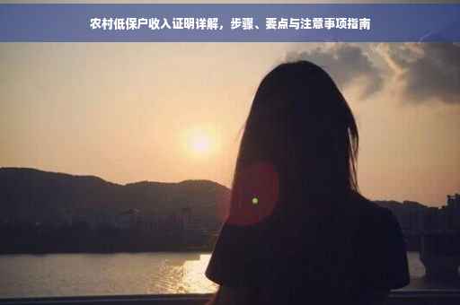 农村低保户收入证明详解，步骤、要点与注意事项指南