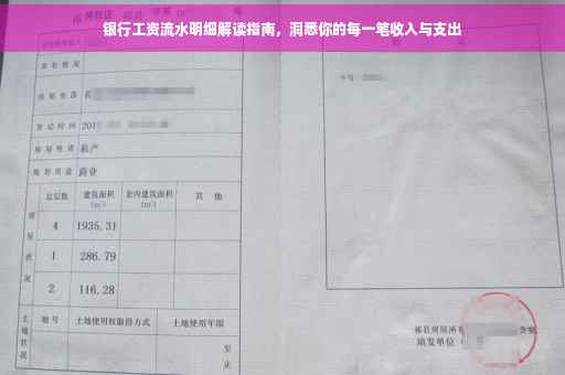 银行工资流水明细解读指南，洞悉你的每一笔收入与支出