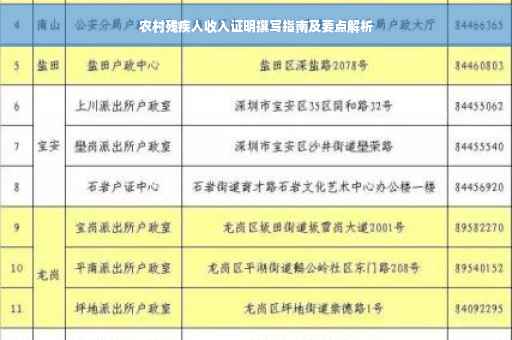 农村残疾人收入证明撰写指南及要点解析
