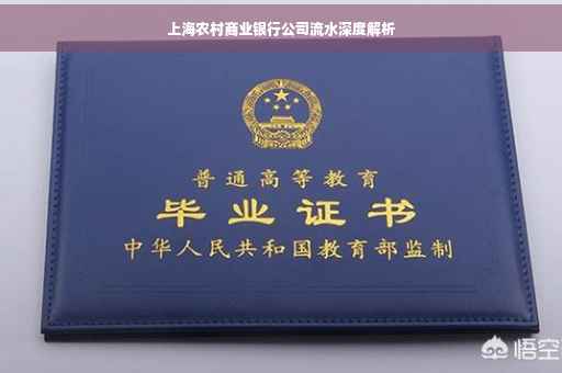 上海农村商业银行公司流水深度解析