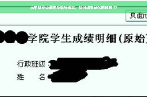 高中毕业证遗失及编号遗忘，找回遗失记忆的攻略 ??