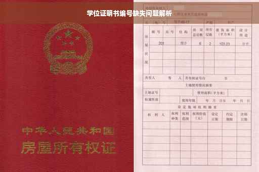 学位证明书编号缺失问题解析