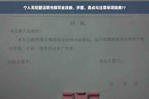 个人无犯罪证明书撰写全攻略，步骤、要点与注意事项指南??