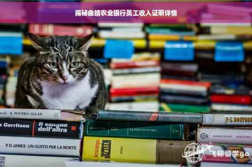 揭秘曲靖农业银行员工收入证明详情