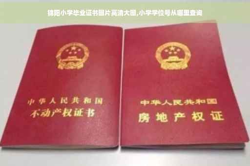 锦阳小学毕业证书图片高清大图,小学学位号从哪里查询