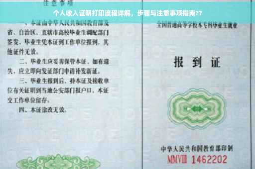 个人收入证明打印流程详解，步骤与注意事项指南??