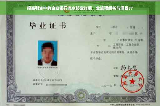 招商引资中的企业银行流水核查详解，全流程解析与洞察??