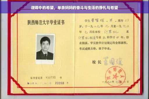 逆境中的希望，单亲妈妈的奋斗与生活的挣扎与希望