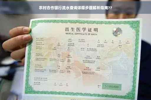农村合作银行流水查询详细步骤解析指南??