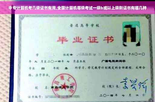 中专计算机考几级证书有用,全国计算机等级考试一级b或以上级别证书有哪几种