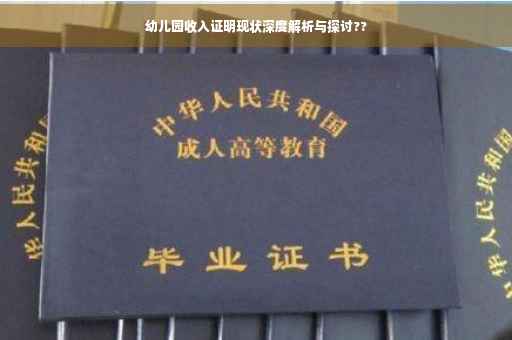 幼儿园收入证明现状深度解析与探讨??
