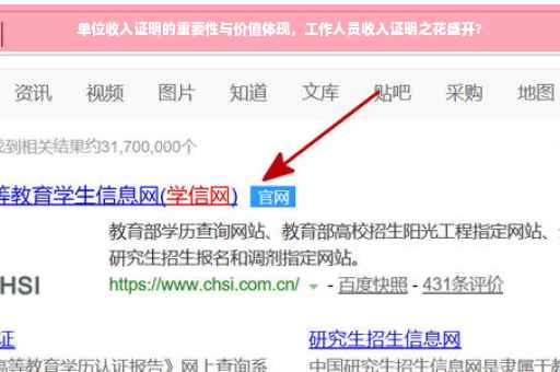 单位收入证明的重要性与价值体现，工作人员收入证明之花盛开?