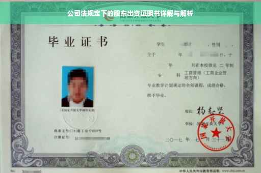 公司法规定下的股东出资证明书详解与解析