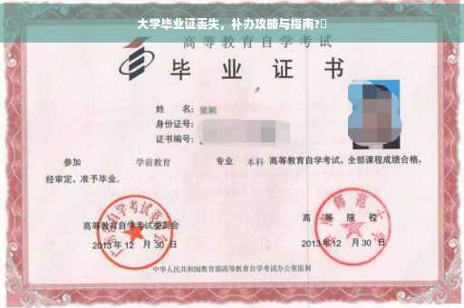 大学毕业证丢失，补办攻略与指南?✨