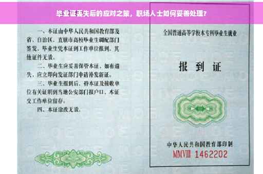 毕业证丢失后的应对之策，职场人士如何妥善处理？