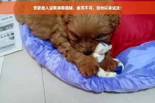 贷款收入证明真相揭秘，虚写不可，切勿以身试法！