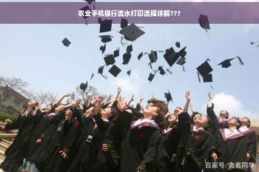 农业手机银行流水打印流程详解???