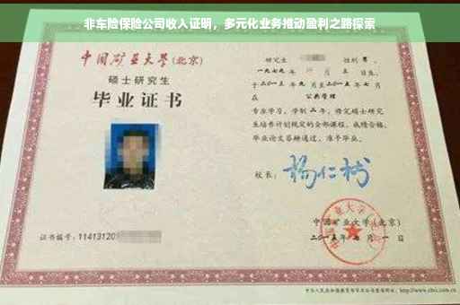 非车险保险公司收入证明，多元化业务推动盈利之路探索
