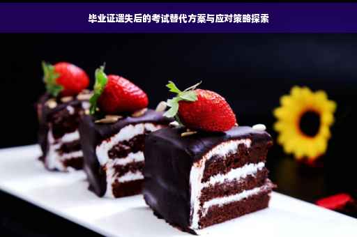 毕业证遗失后的考试替代方案与应对策略探索