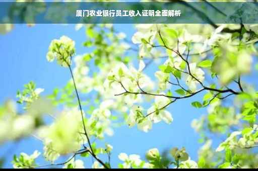 厦门农业银行员工收入证明全面解析