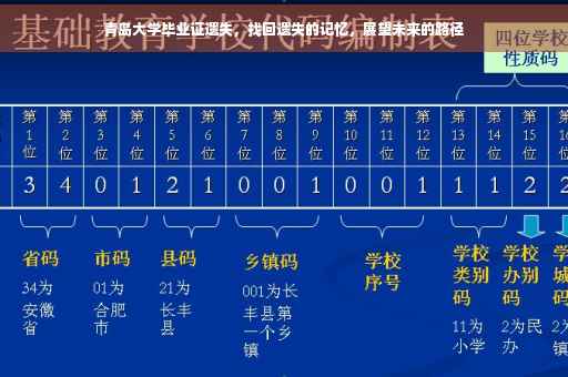 青岛大学毕业证遗失，找回遗失的记忆，展望未来的路径