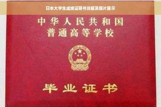 日本大学生成绩证明书详解及图片展示