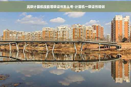 高级计算机技能等级证书怎么考-计算机一级证书培训