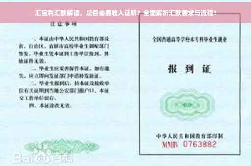 汇宝利汇款解读，是否需要收入证明？全面解析汇款要求与流程！