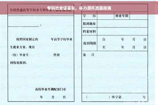 专科毕业证丢失，补办原件流程指南