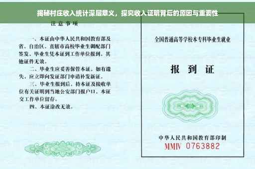 揭秘村庄收入统计深层意义，探究收入证明背后的原因与重要性