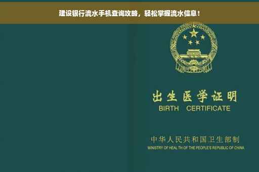 建设银行流水手机查询攻略，轻松掌握流水信息！