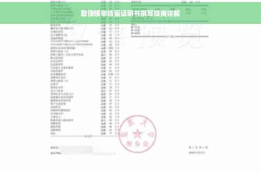 取保候审结案证明书撰写指南详解