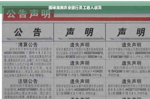 揭秘海南农业银行员工收入状况