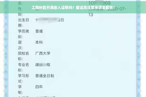 工商所能开具收入证明吗？解读及注意事项全解析！