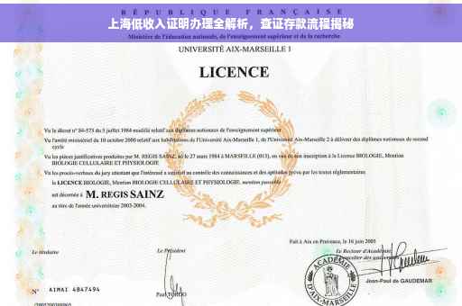 上海低收入证明办理全解析，查证存款流程揭秘