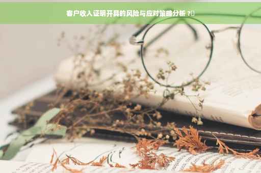 客户收入证明开具的风险与应对策略分析 ?✨
